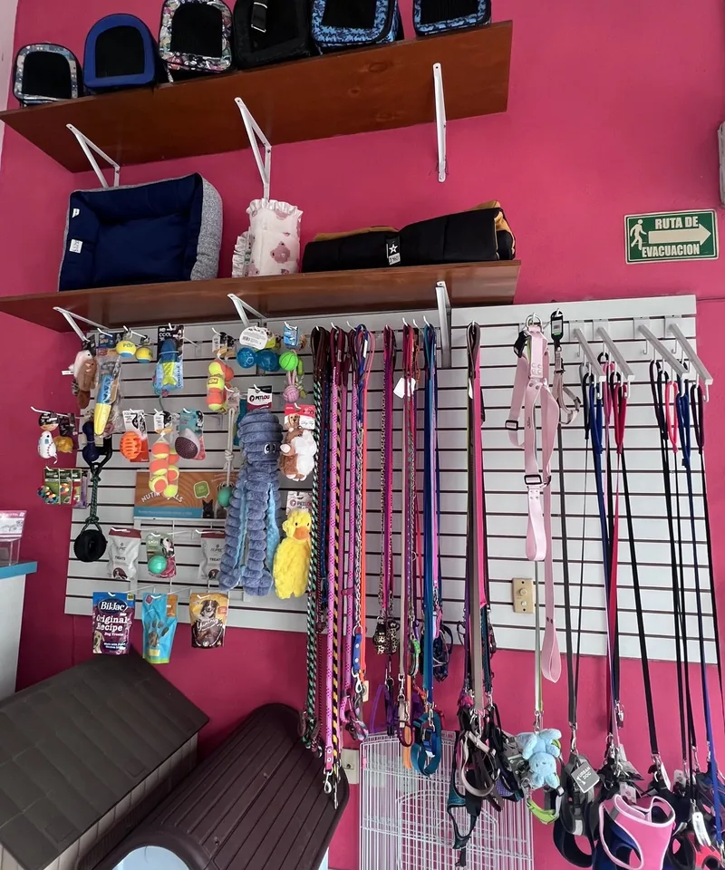 Muro de correas, juguetes y accesorios en la boutique de Wawao