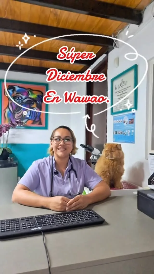 La médica veterinaria sonriendo en la recepción de Wawao, con un gato persa a su lado