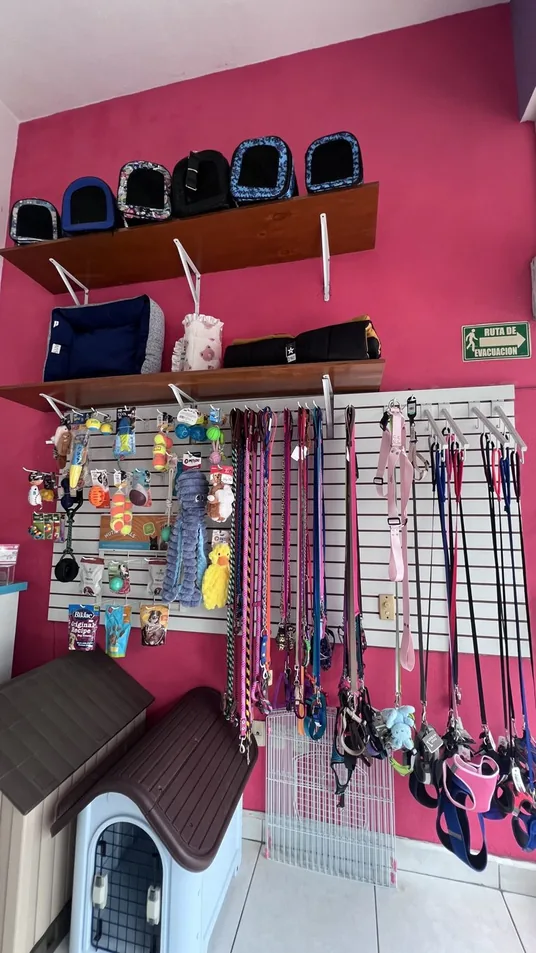 Muro de correas, arneses y accesorios en la boutique de Wawao