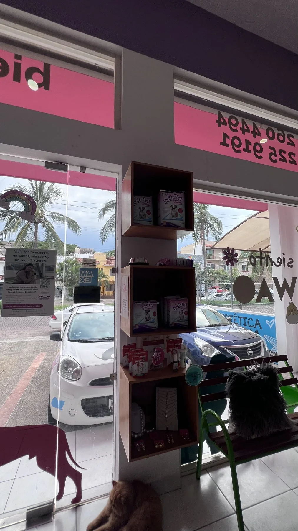 La puerta con el vinil del auto de Wawao